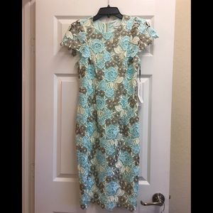 Calvin Klein Brand New Cap Sleeve Lace Dress